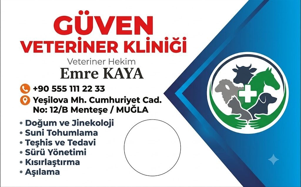 Veteriner kliniği kartvizit tasarım örneği